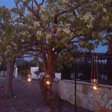 My Green Villa * Zacharo