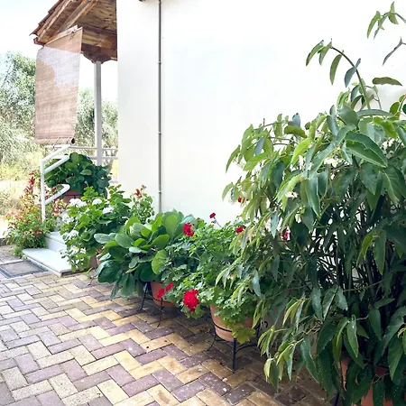 My Green Villa