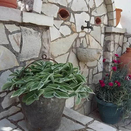 My Green Villa