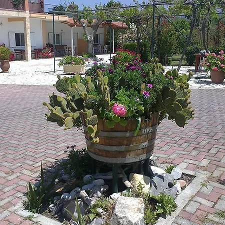 My Appartement