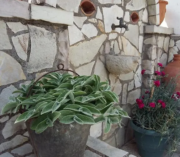 My